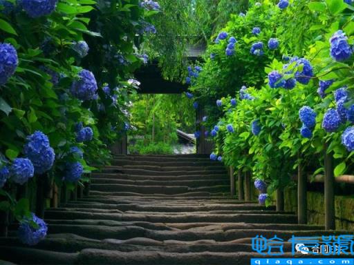 协议和合同的区别是什么(协议书和劳动合同的区别)