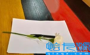 签定和签订有什么区别(签订与签定的法律)