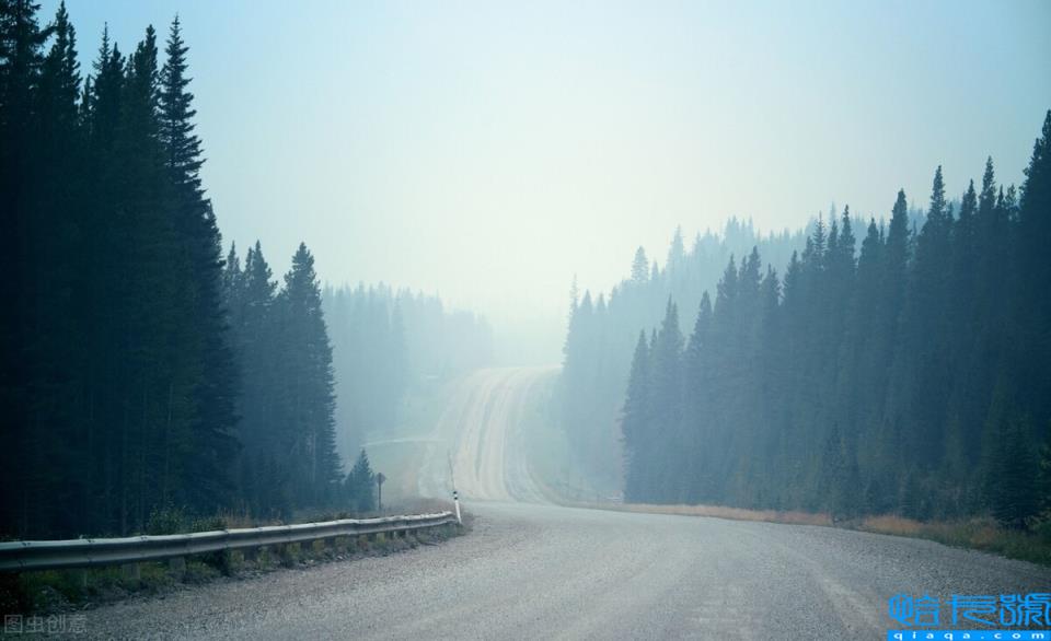 委托关系是怎么认定的(委托关系的法律后果)