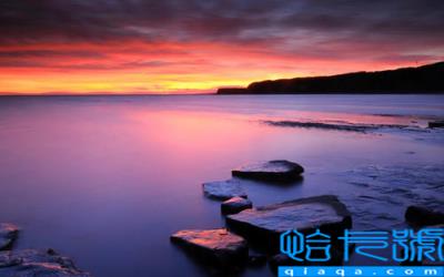 协议书模板怎么写(双方个人协议书模板)