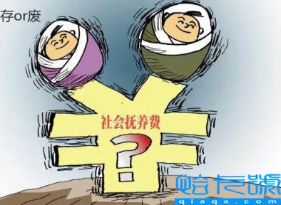 什么是社会抚养费(社会抚养费的最新动态)