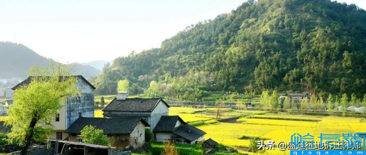 农村宅基地怎么赔偿(农村宅基地最新政策)
