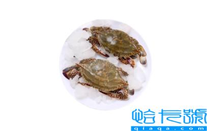 梭子蟹黄多还是大闸蟹黄多(梭子蟹和大闸蟹哪个黄多)