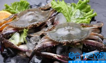 梭子蟹半斤一只大不大(半斤一只的梭子蟹有多大)