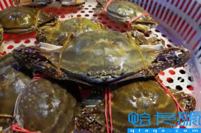 梭子蟹半斤一只大不大(半斤一只的梭子蟹有多大)