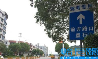 科目三85分为什么及格了(科三考了85分居然合格了怎么办)