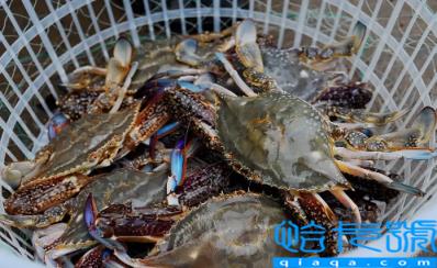 梭子蟹哪种有蟹黄(梭子蟹什么样的有蟹黄)