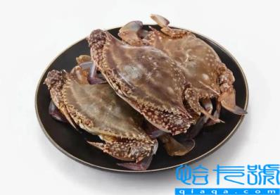 梭子蟹哪种有蟹黄(梭子蟹什么样的有蟹黄)