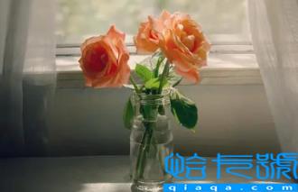 订完婚能立即结婚吗(订婚和结婚要隔多久好)