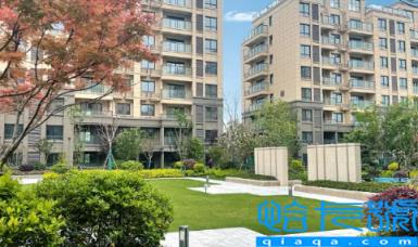 现房买卖可以不进监管账户吗(现房面积有误差吗)