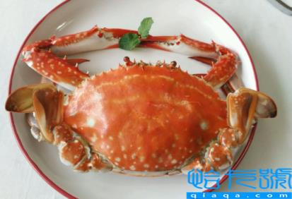 梭子蟹有苦味怎么回事(为什么梭子蟹吃起来有苦味)