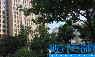 18层供热末端是在八楼吗(18层供暖末端是几楼)