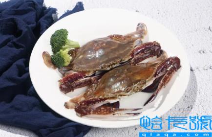 梭子蟹什么颜色是肥的(梭子蟹哪种颜色最好吃)