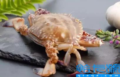 梭子蟹什么颜色是肥的(梭子蟹哪种颜色最好吃)