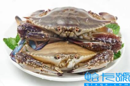 梭子蟹怎么看空不空壳(梭子蟹空壳了还能吃吗)