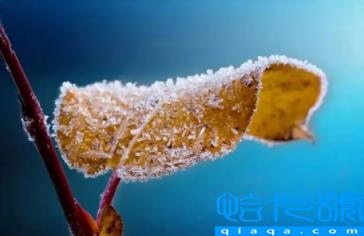 2022年立冬当天冷好还是热好(立冬当天的天气热代表这个冬天冷吗)