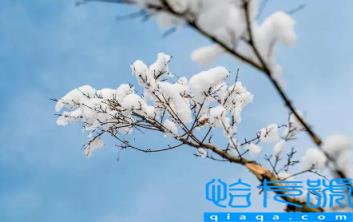 2022年立冬当天冷好还是热好(立冬当天的天气热代表这个冬天冷吗)