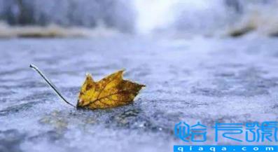 2022年立冬当天冷好还是热好(立冬当天的天气热代表这个冬天冷吗)