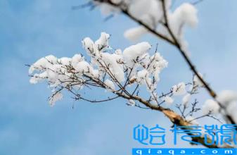 2022年立冬是农历的几月几日(2022年什么时候立冬)