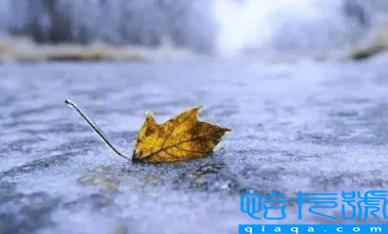 2022年立冬是农历的几月几日(2022年什么时候立冬)