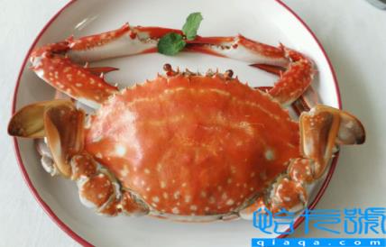 电饭煲蒸梭子蟹要先解冻吗(电饭煲蒸梭子蟹要放水吗)