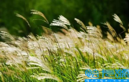 2022国庆节天气是冷还是热(2022年国庆节会变冷吗)