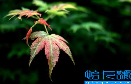 2022国庆节天气是冷还是热(2022年国庆节会变冷吗)