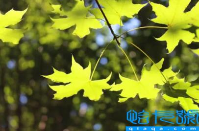 2022国庆节天气是冷还是热(2022年国庆节会变冷吗)