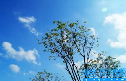 2022年国庆节穿长袖还是短袖(2022年国庆节穿什么衣服好)