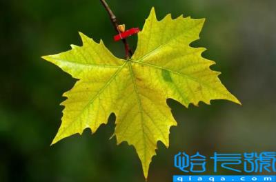 2022年国庆节穿长袖还是短袖(2022年国庆节穿什么衣服好)