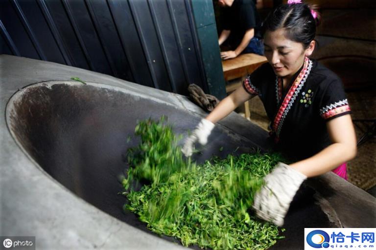 普洱茶属于什么茶(普洱茶的特点)