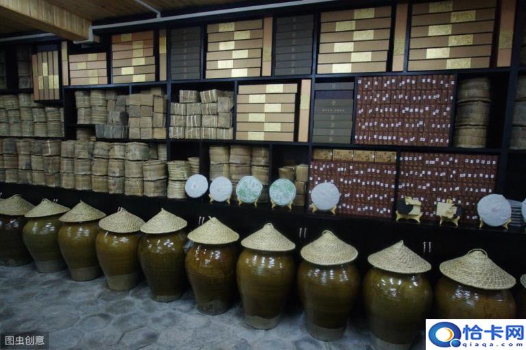 普洱茶属于什么茶(普洱茶的特点)