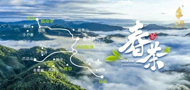 普洱茶十大忽悠名牌排名，普洱茶厂家前50名排行(附2022年最新排行榜前十名单)