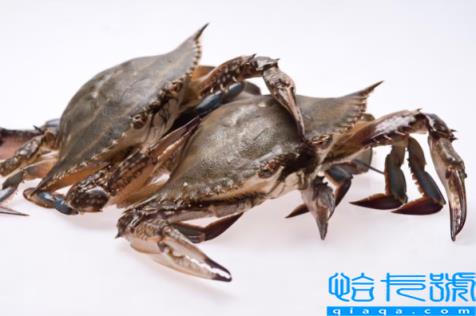 网购的梭子蟹上午到的到晚上吃可以吗(网购的梭子蟹上午到下午吃可以吗)