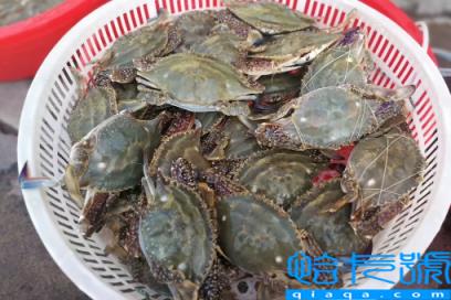 网购的梭子蟹上午到的到晚上吃可以吗(网购的梭子蟹上午到下午吃可以吗)