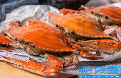 网购梭子蟹品质有保证吗(网购梭子蟹品质怎么样)