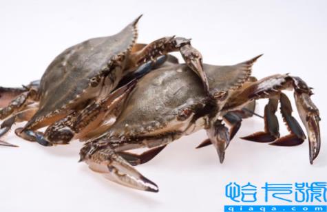 网购梭子蟹品质有保证吗(网购梭子蟹品质怎么样)