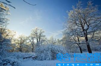 2023年冬季预测冷还是暖(2023年冬季是不是最冷的一年)