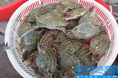 网上买梭子蟹为什么都是冷冻的(网购梭子蟹怎么都是冷冻的)