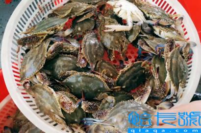 网上买梭子蟹是活的还是死的(网上买梭子蟹是活的吗)