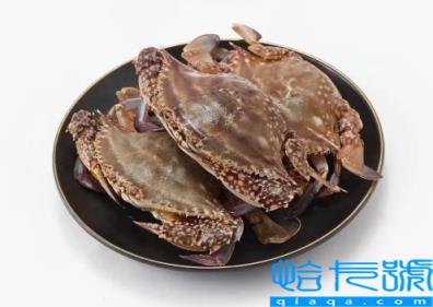 网上买梭子蟹是活的还是死的(网上买梭子蟹是活的吗)