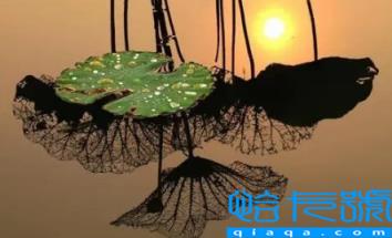 2022年寒露可以搬家吗(搬家有必要选择吉日吗)