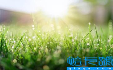 2022北京的冬天什么时候开始冷(北京的冬天从什么时候开始)