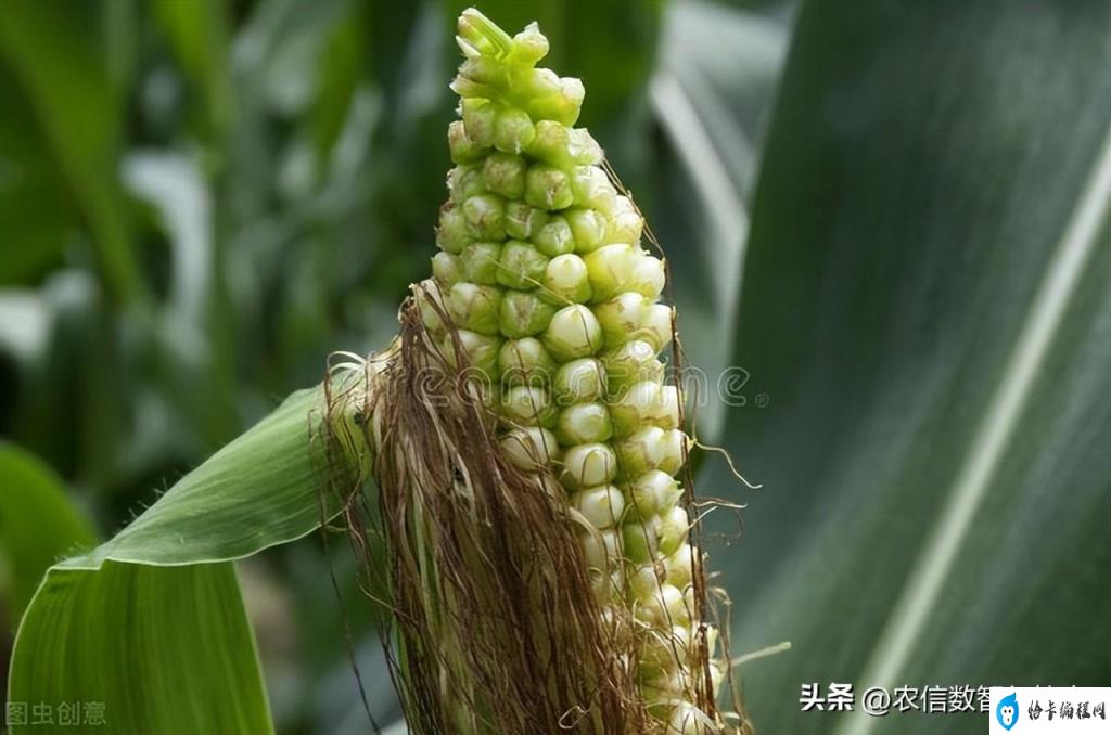 苹果电脑怎样打开u盘(苹果电脑怎样点开u盘)