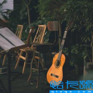 古典吉他和民谣吉他区别(学吉他前，先弄清楚两者的区别)