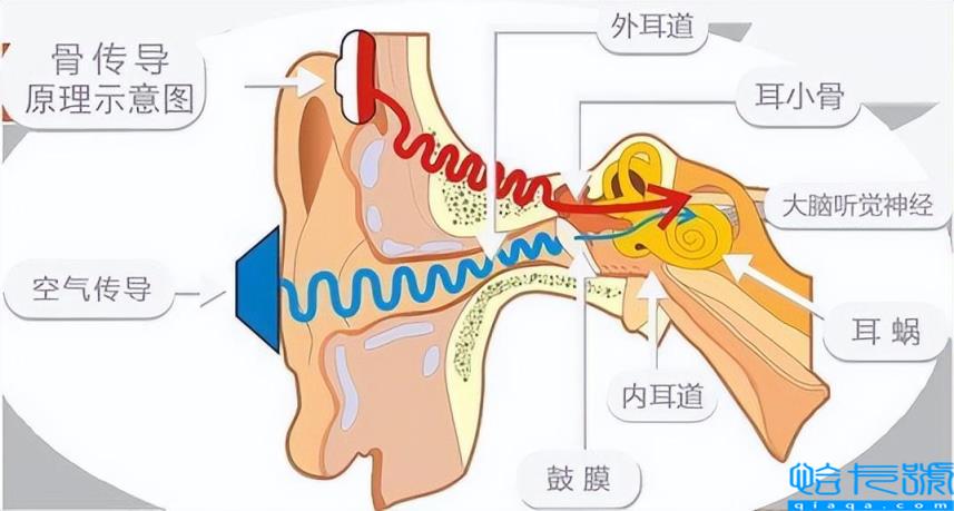 骨传导耳机对大脑危害有哪些(它的工作原理和特点有哪些)