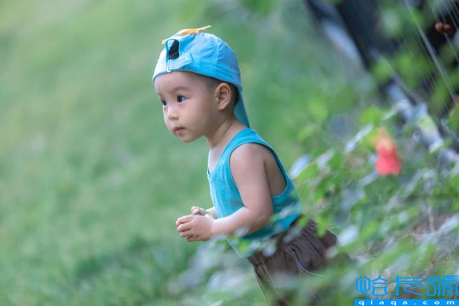 光圈大小的区别(光圈对于摄影来说有什么影响)