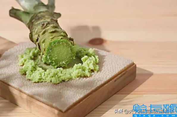 芥末是什么做的(为什么叫芥末)