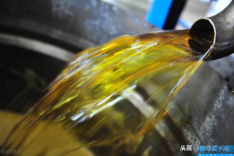 浸出油和压榨油哪个好(了解它们的区别就知道了)