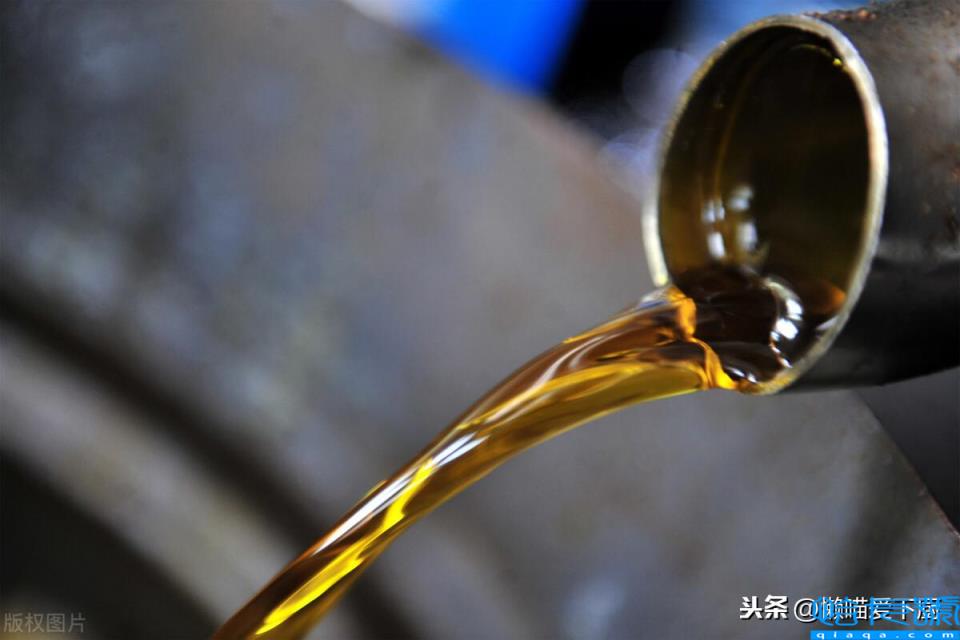 浸出油和压榨油哪个好(了解它们的区别就知道了)